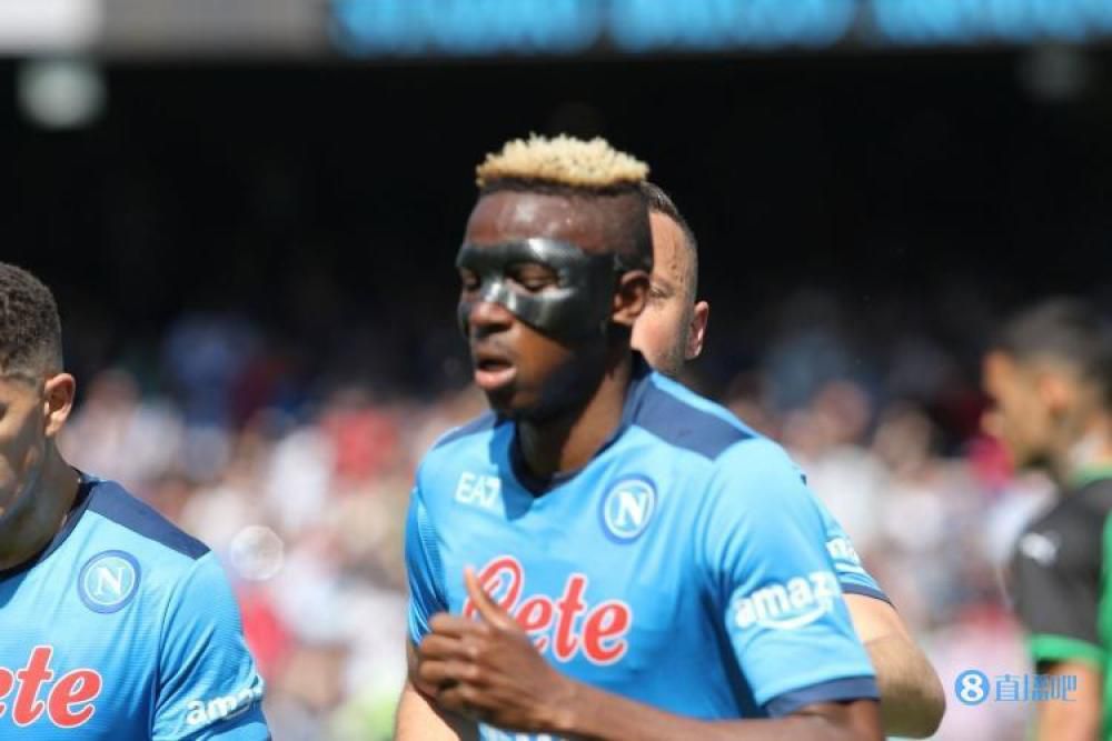 郁金香热